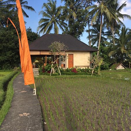 Puri Raya Villa Ubud Dış mekan fotoğraf