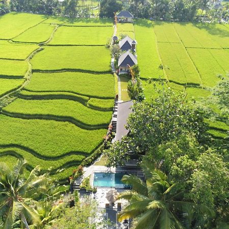 Puri Raya Villa Ubud Dış mekan fotoğraf