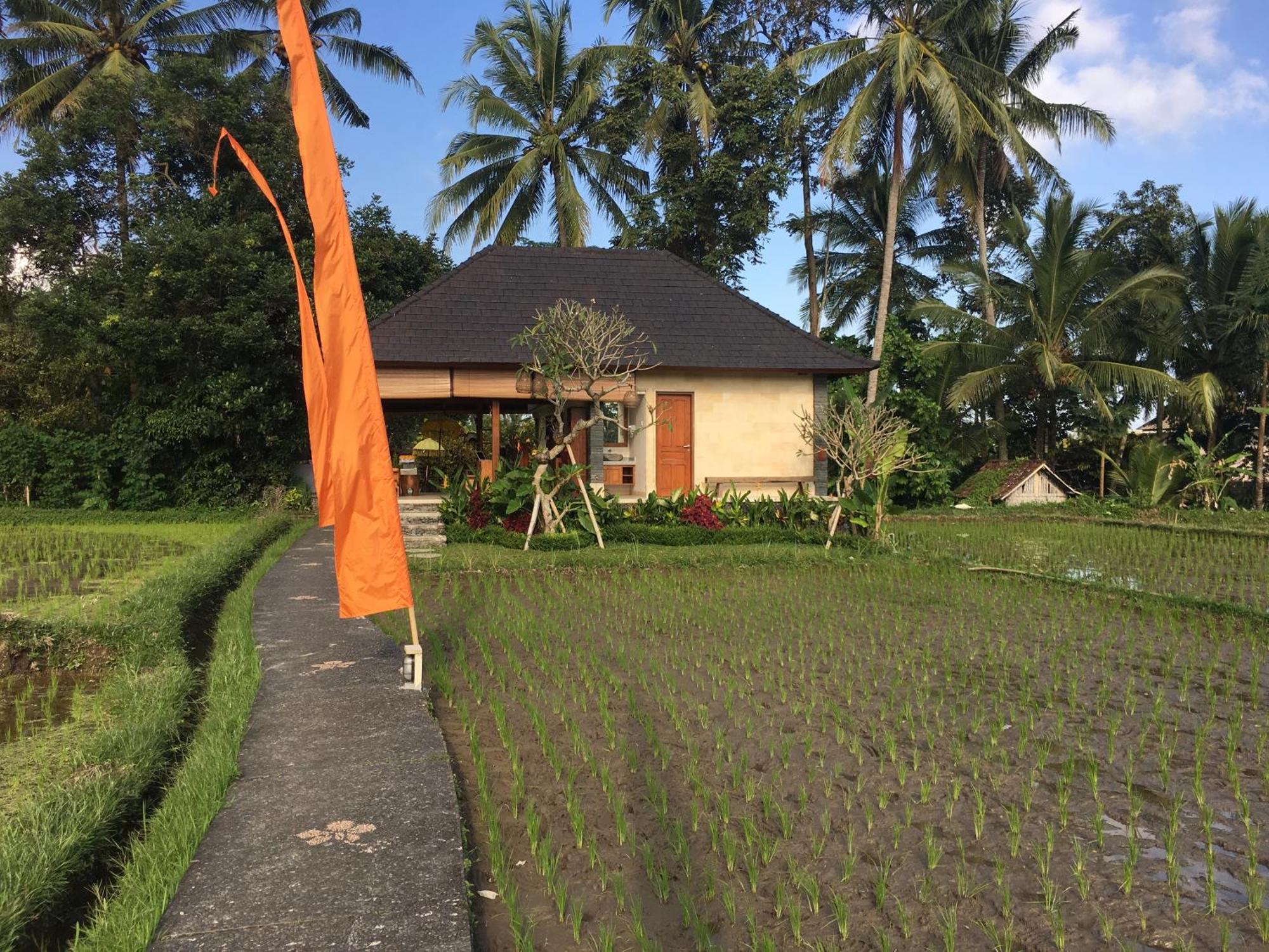 Puri Raya Villa Ubud Dış mekan fotoğraf