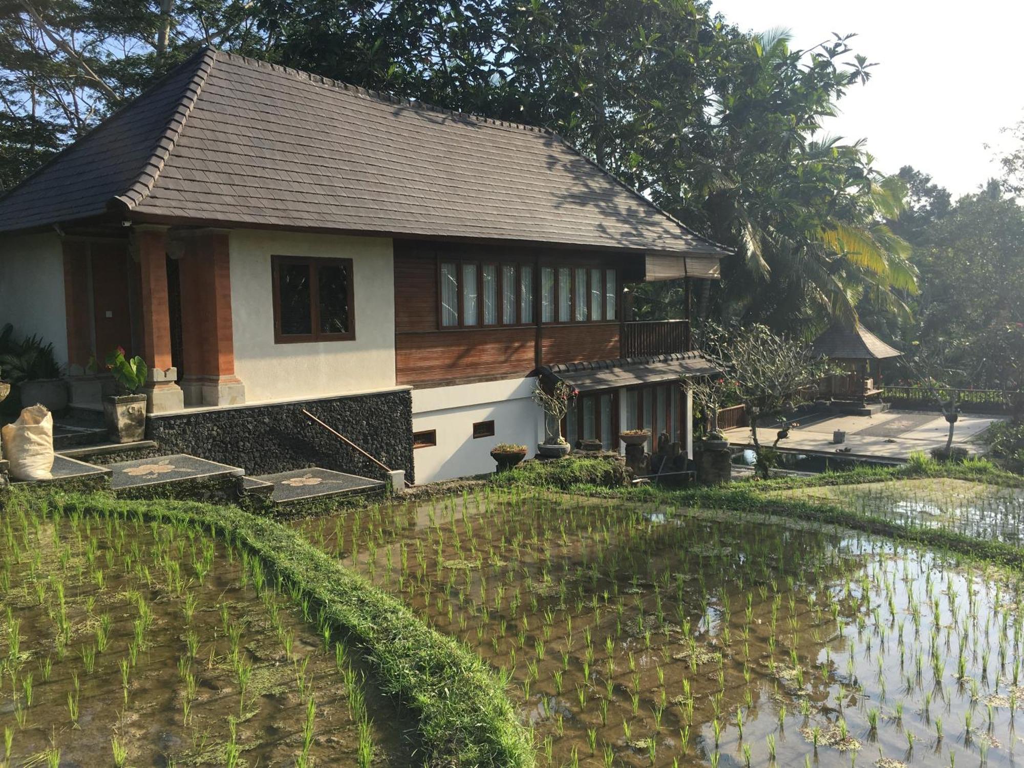 Puri Raya Villa Ubud Dış mekan fotoğraf