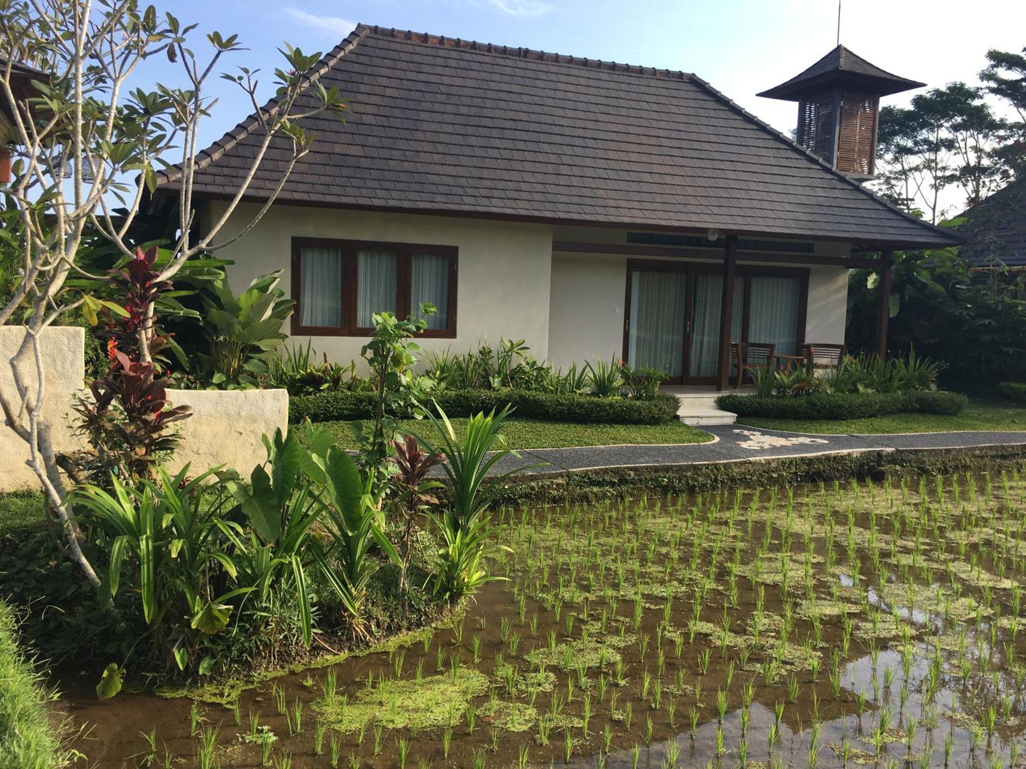 Puri Raya Villa Ubud Dış mekan fotoğraf