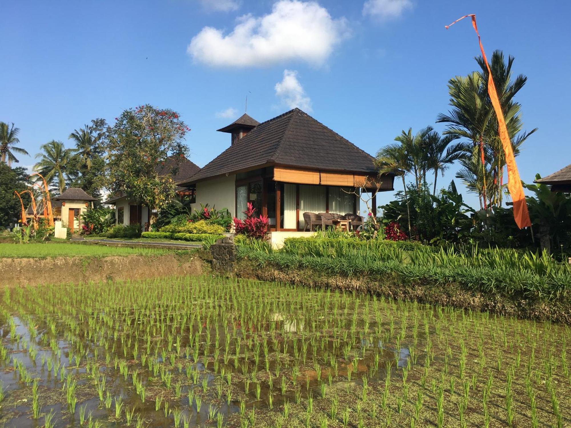 Puri Raya Villa Ubud Dış mekan fotoğraf