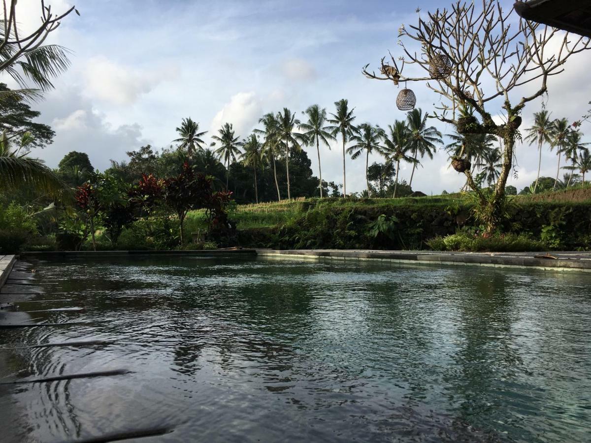 Puri Raya Villa Ubud Dış mekan fotoğraf