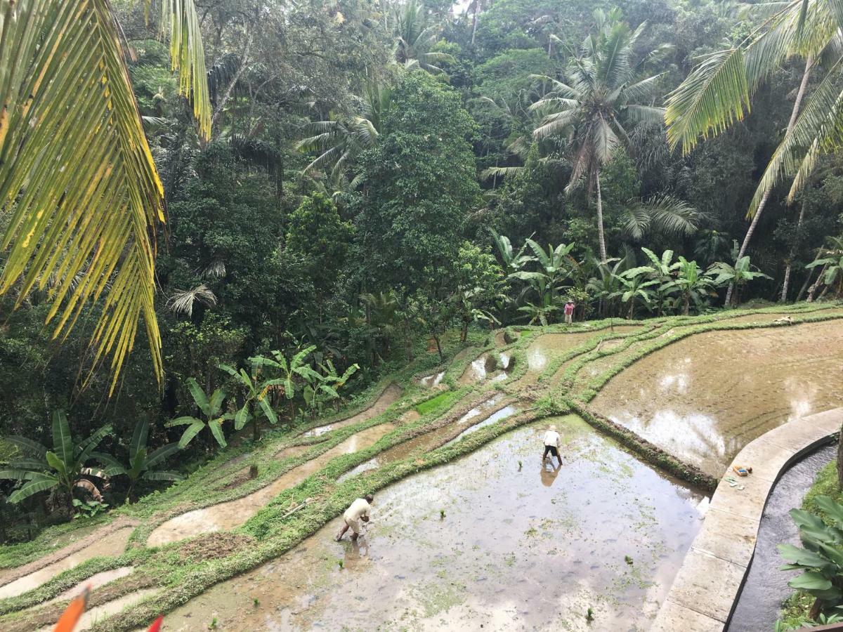 Puri Raya Villa Ubud Dış mekan fotoğraf