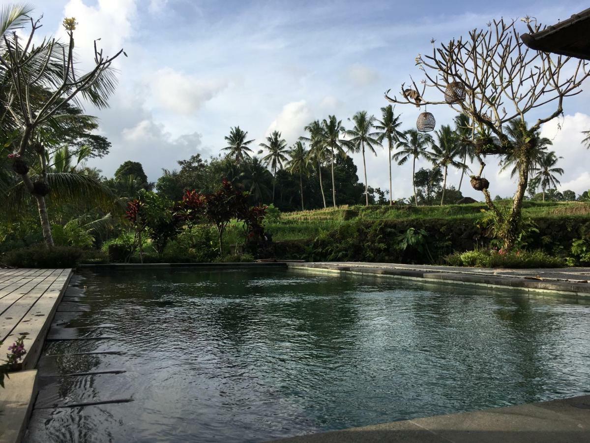 Puri Raya Villa Ubud Dış mekan fotoğraf