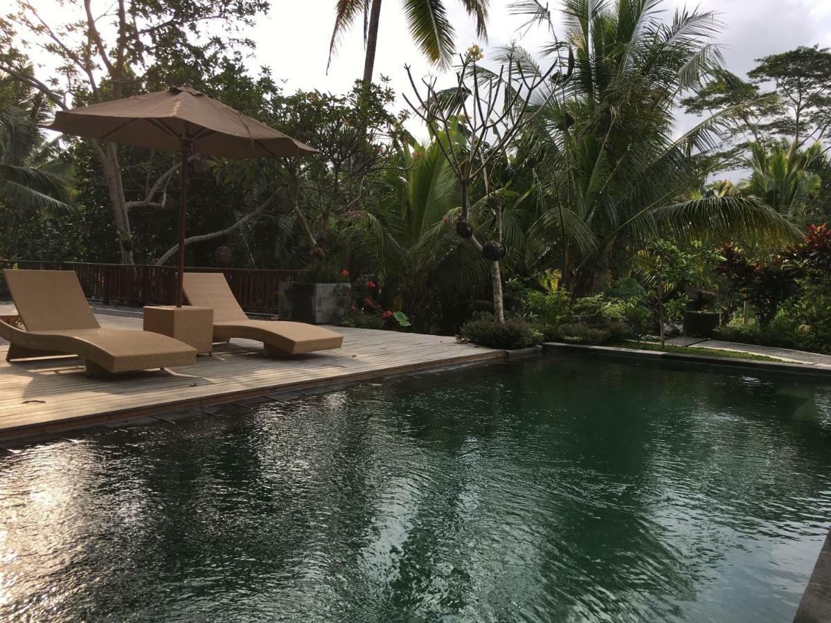 Puri Raya Villa Ubud Dış mekan fotoğraf