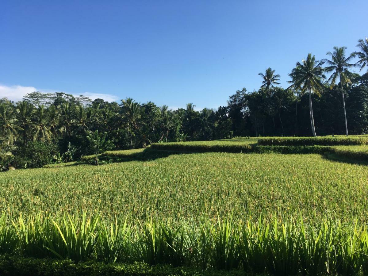 Puri Raya Villa Ubud Dış mekan fotoğraf