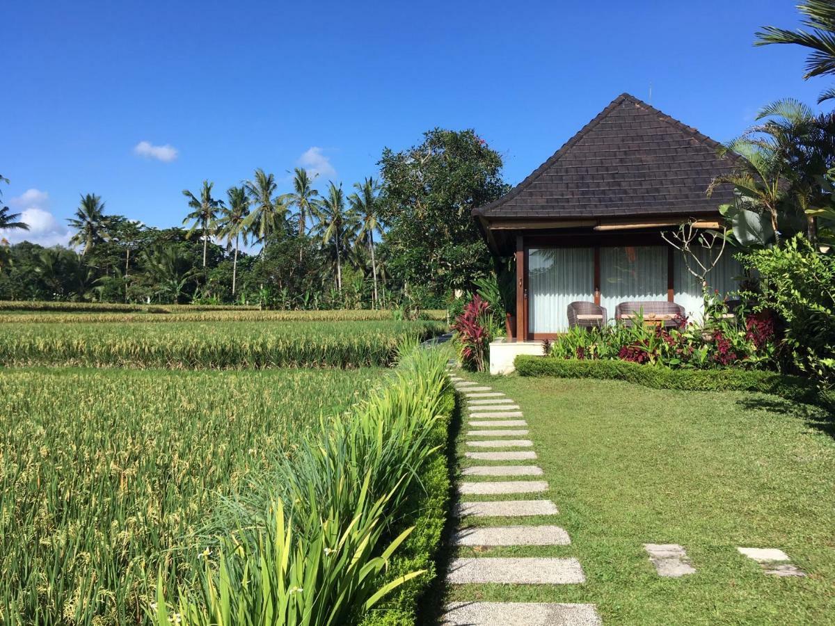 Puri Raya Villa Ubud Dış mekan fotoğraf