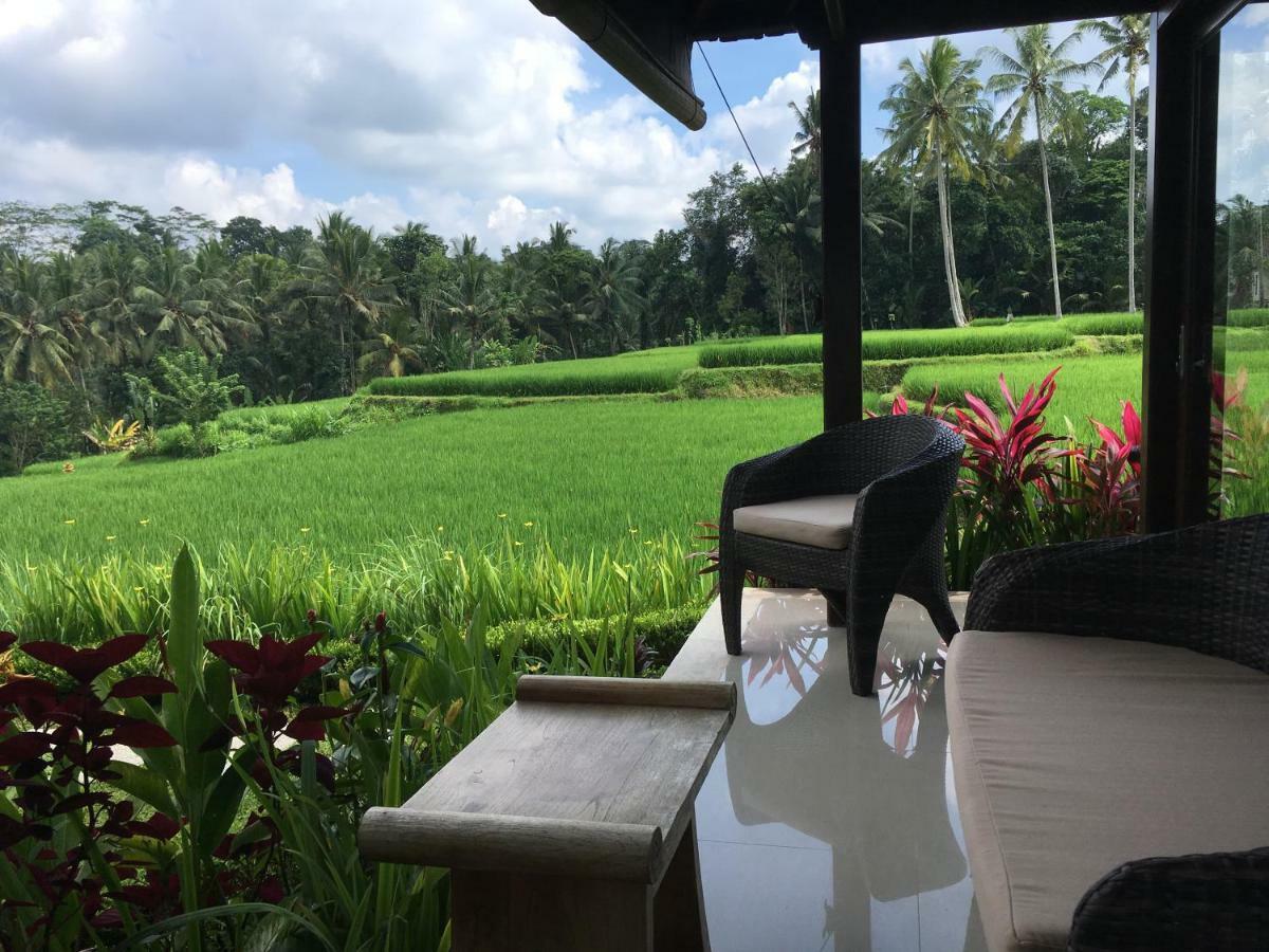 Puri Raya Villa Ubud Dış mekan fotoğraf