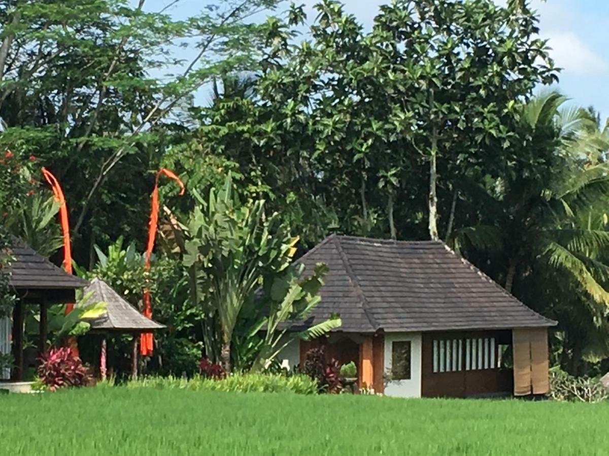 Puri Raya Villa Ubud Dış mekan fotoğraf