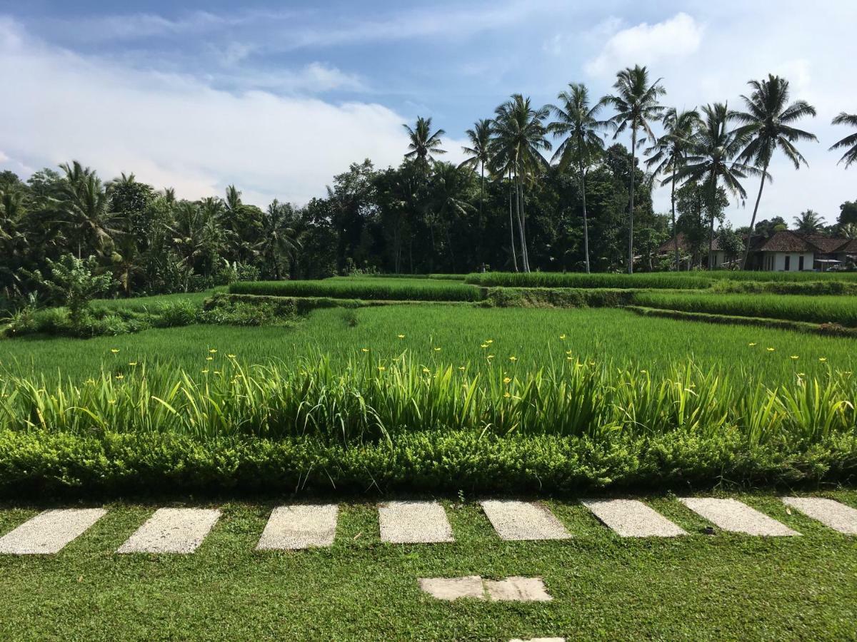 Puri Raya Villa Ubud Dış mekan fotoğraf