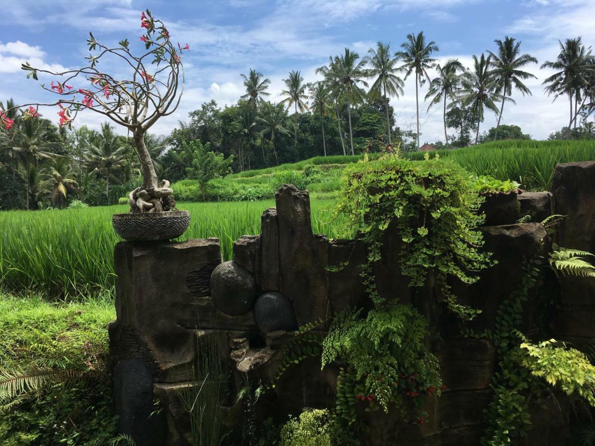 Puri Raya Villa Ubud Dış mekan fotoğraf