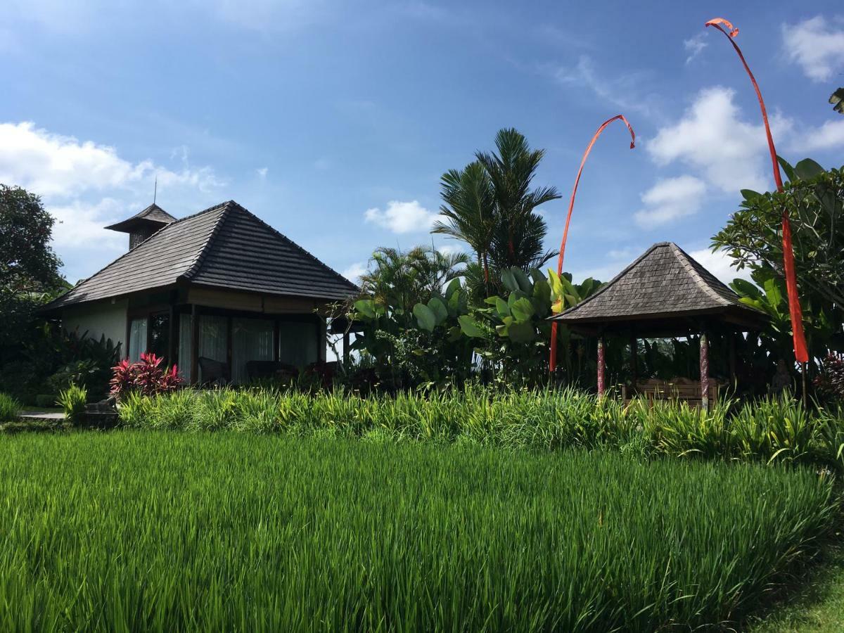 Puri Raya Villa Ubud Dış mekan fotoğraf