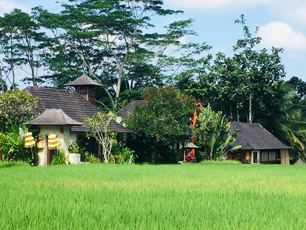 Puri Raya Villa Ubud Dış mekan fotoğraf