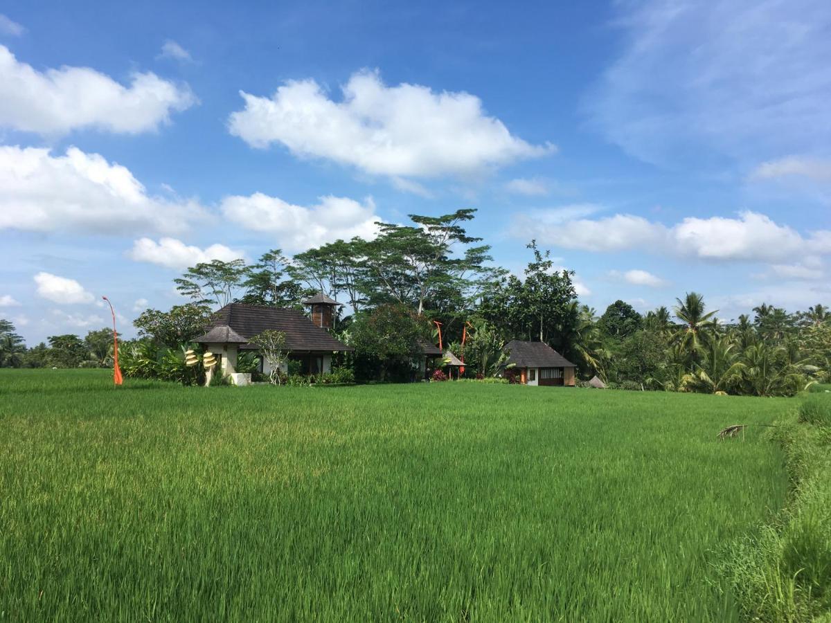 Puri Raya Villa Ubud Dış mekan fotoğraf