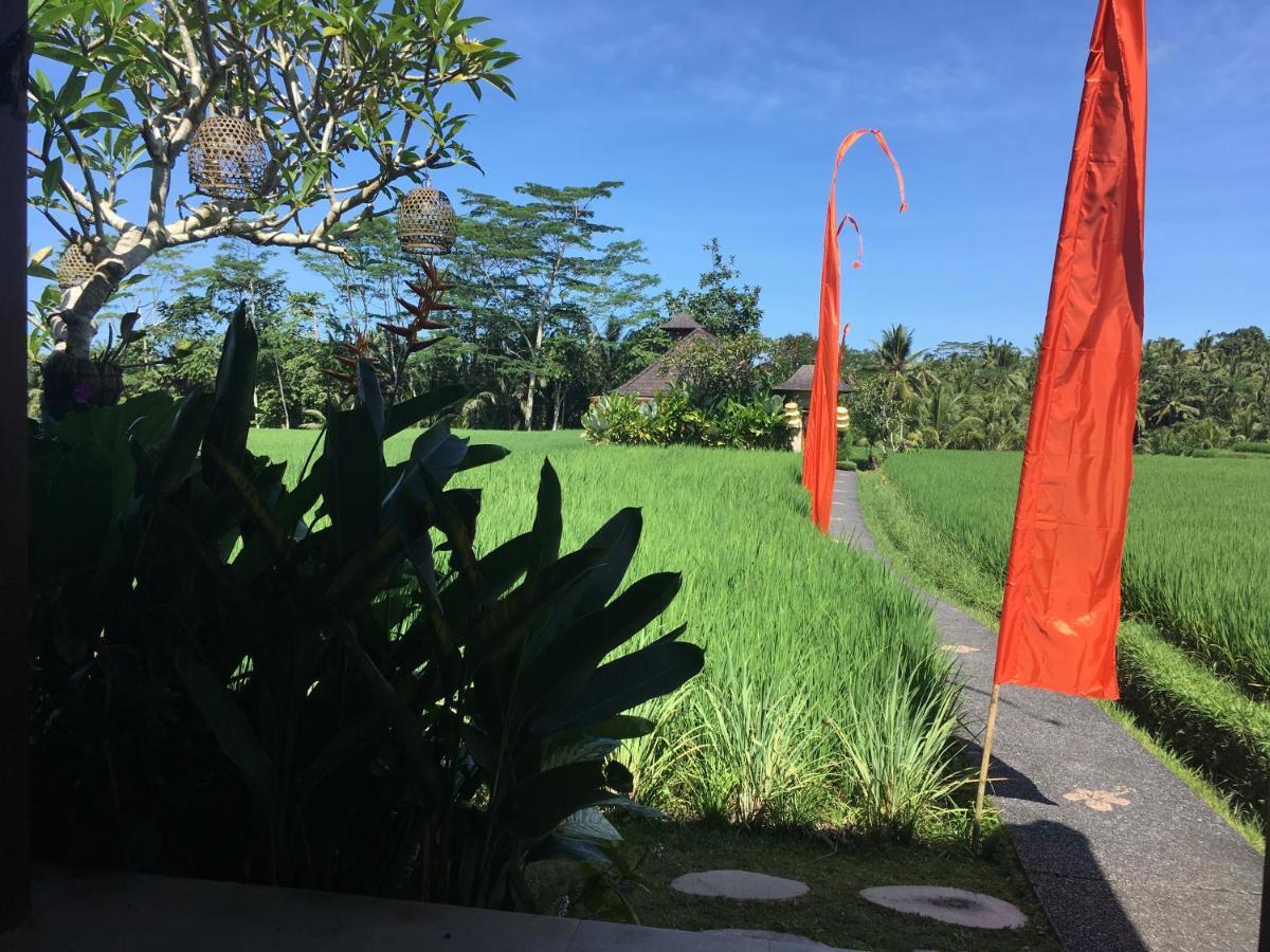 Puri Raya Villa Ubud Dış mekan fotoğraf