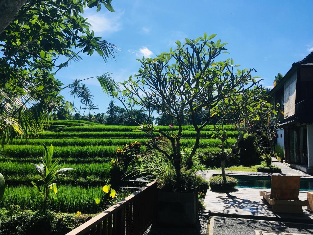 Puri Raya Villa Ubud Dış mekan fotoğraf