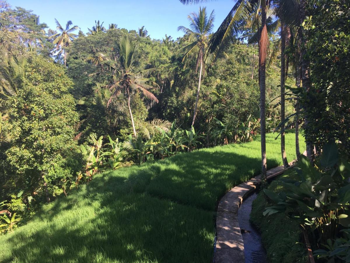 Puri Raya Villa Ubud Dış mekan fotoğraf