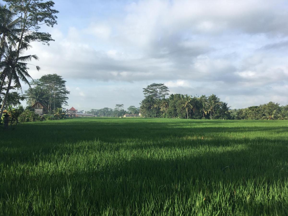 Puri Raya Villa Ubud Dış mekan fotoğraf