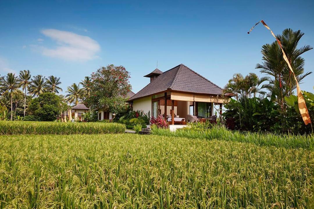 Puri Raya Villa Ubud Dış mekan fotoğraf