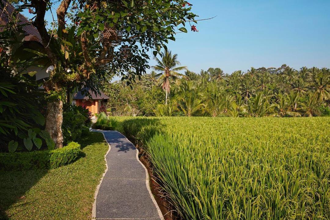 Puri Raya Villa Ubud Dış mekan fotoğraf