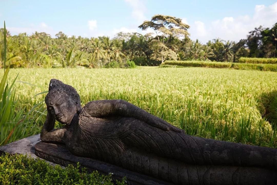 Puri Raya Villa Ubud Dış mekan fotoğraf