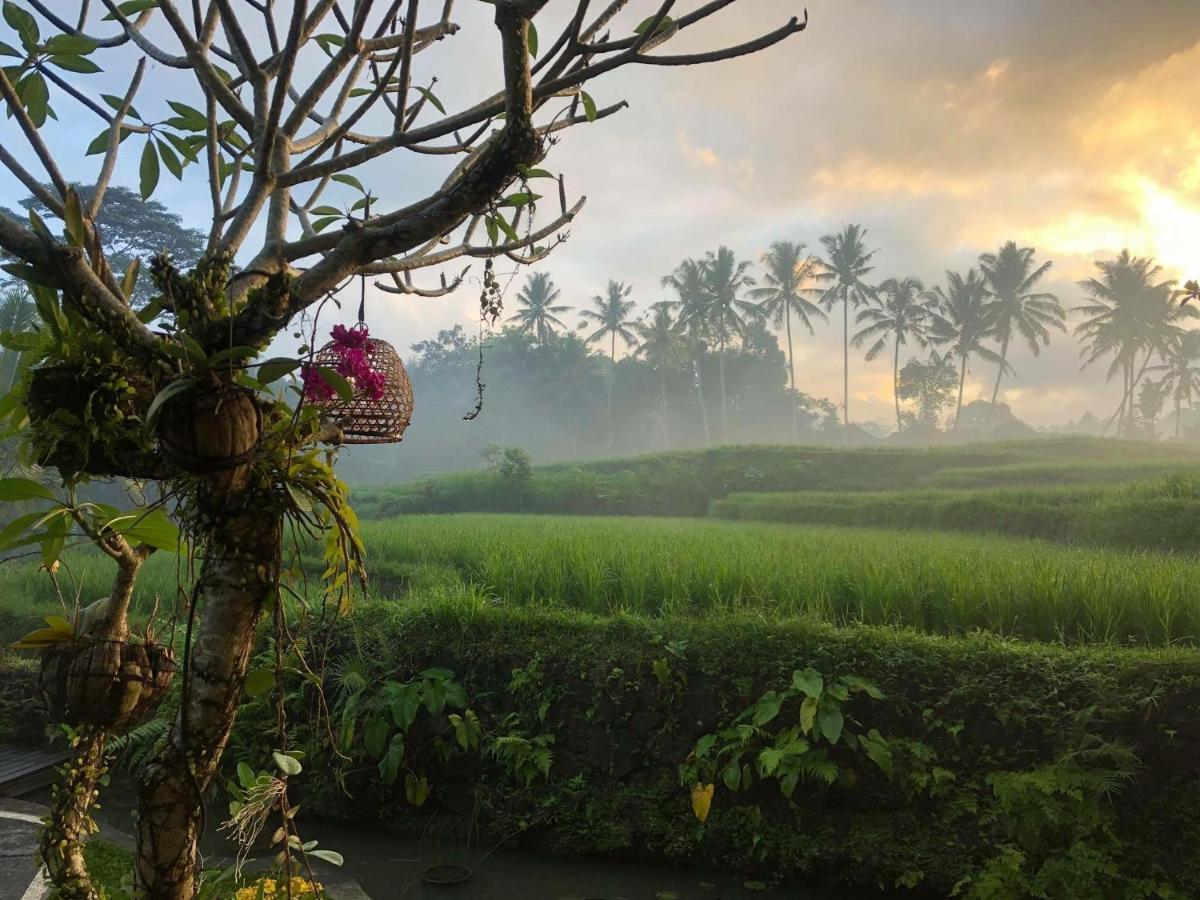 Puri Raya Villa Ubud Dış mekan fotoğraf