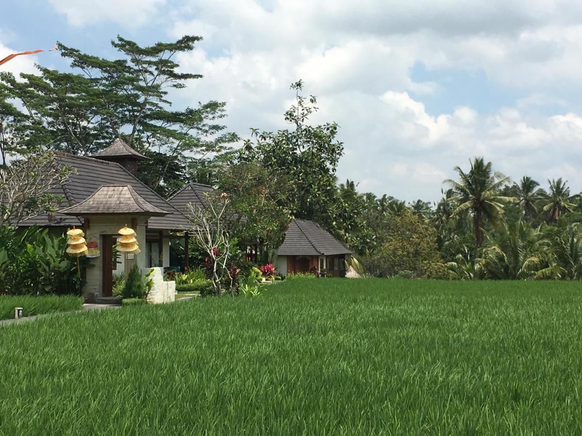 Puri Raya Villa Ubud Dış mekan fotoğraf