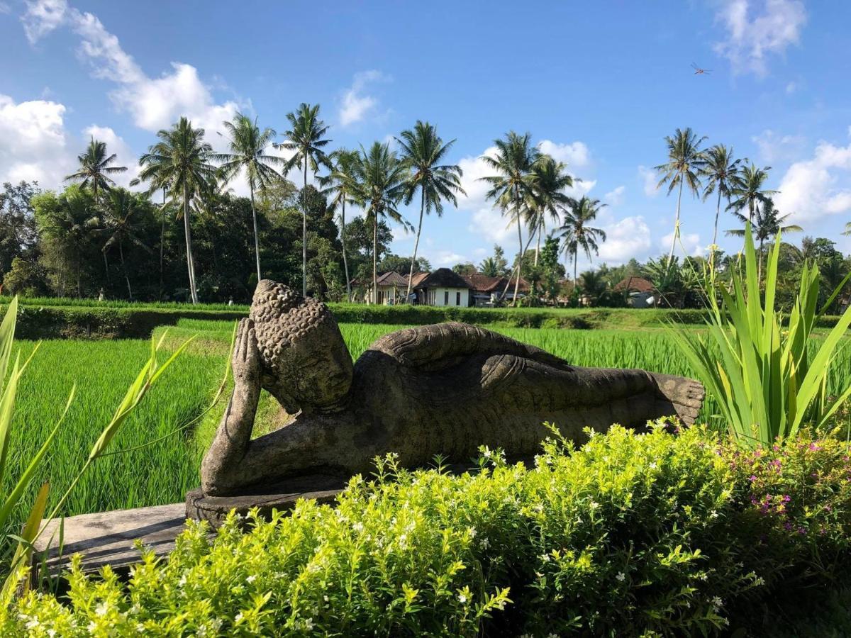 Puri Raya Villa Ubud Dış mekan fotoğraf