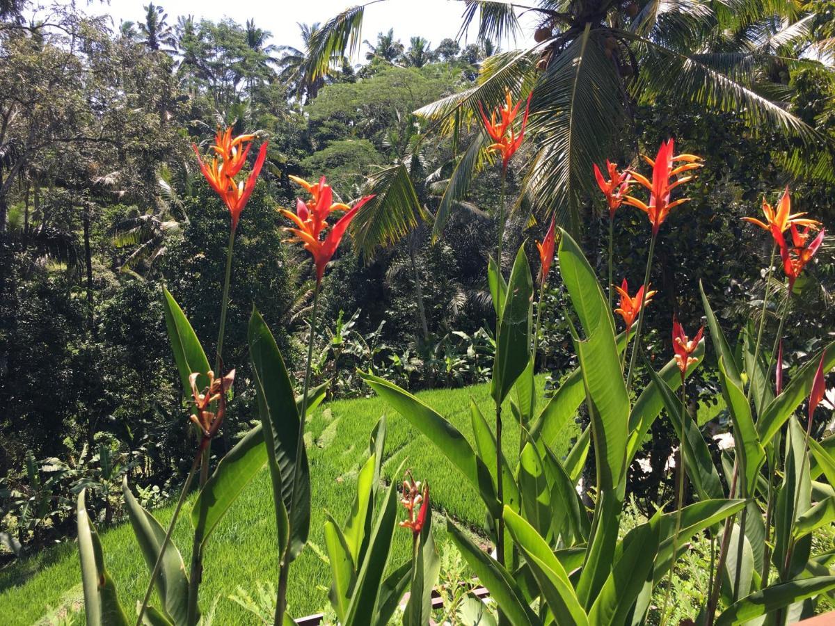 Puri Raya Villa Ubud Dış mekan fotoğraf