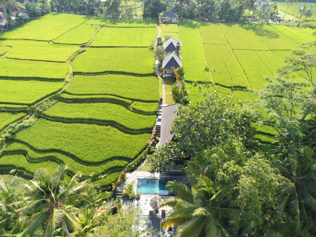 Puri Raya Villa Ubud Dış mekan fotoğraf